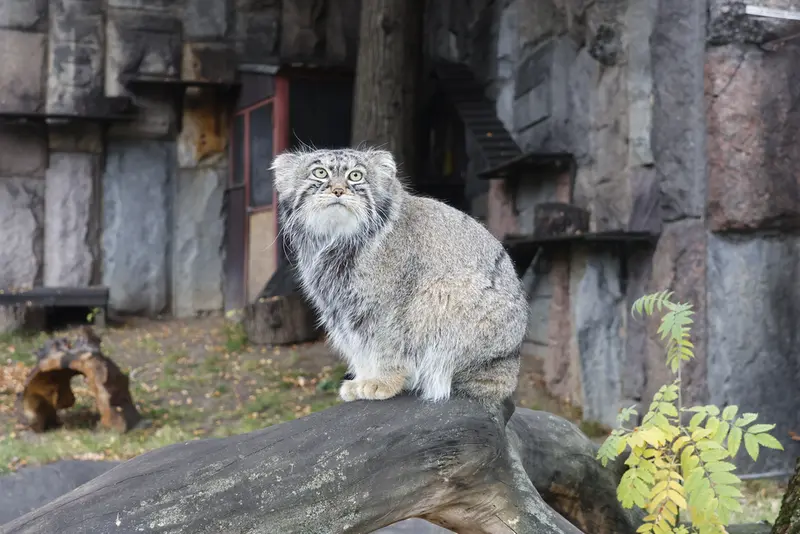 A photograph of Timofey in Moscow zoo
