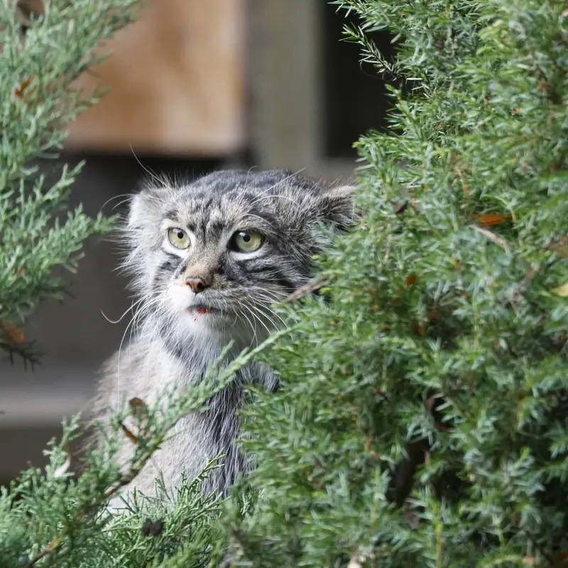 A photograph of Timofey in Moscow zoo
