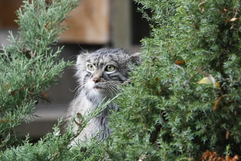 A photograph of Timofey in Moscow zoo