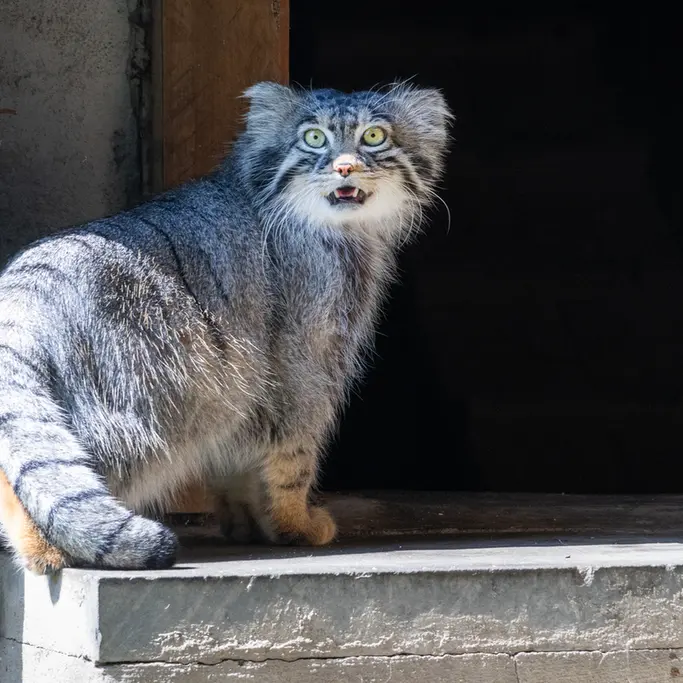 A photograph of Timofey in Moscow zoo