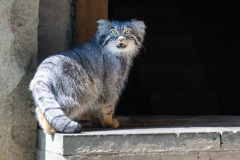 A photograph of Timofey in Moscow zoo