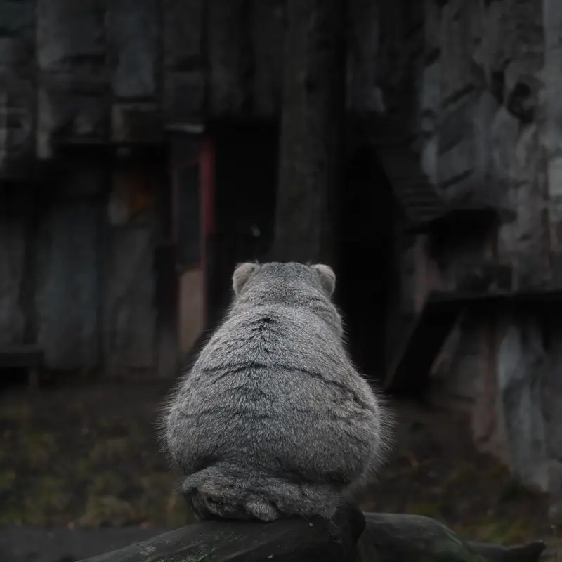 A photograph of Timofey in Moscow zoo