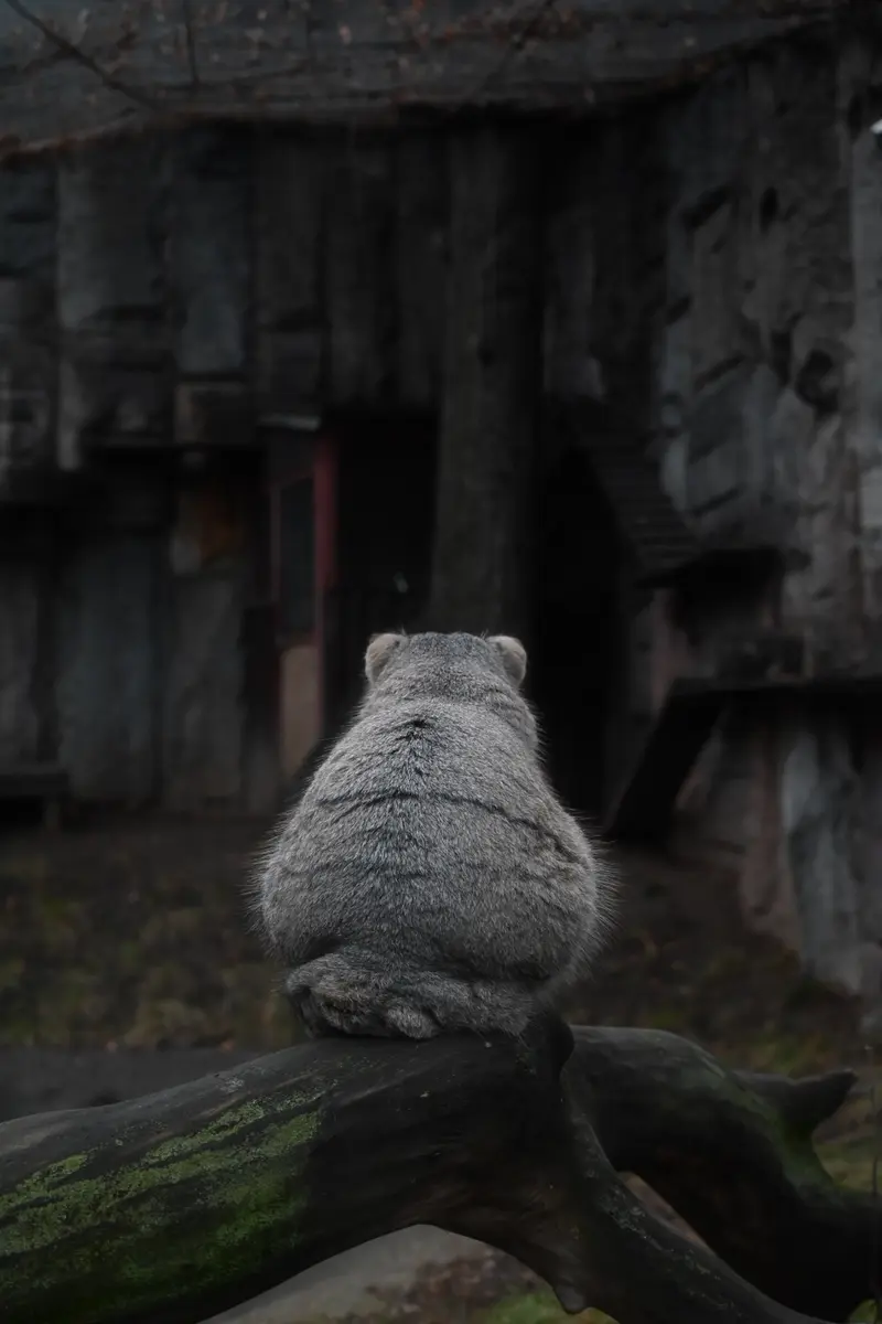 A photograph of Timofey in Moscow zoo