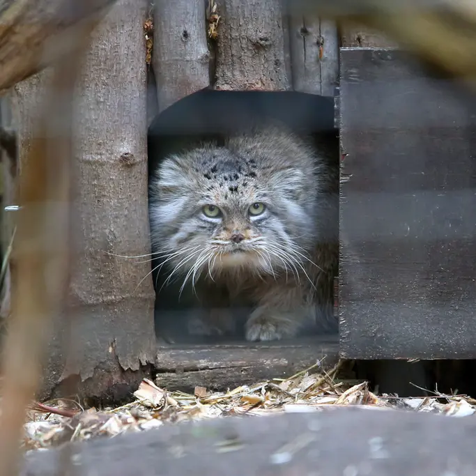 A photograph of Jessie in Warsaw Zoo