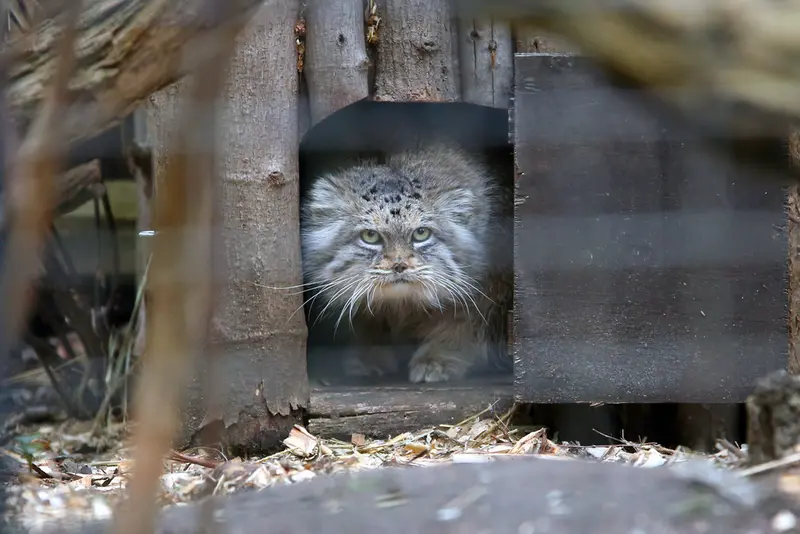 A photograph of Jessie in Warsaw Zoo