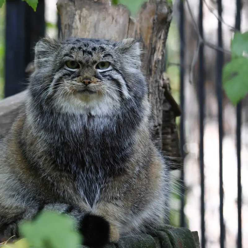 A photograph of Anya in Novosibirsk Zoo
