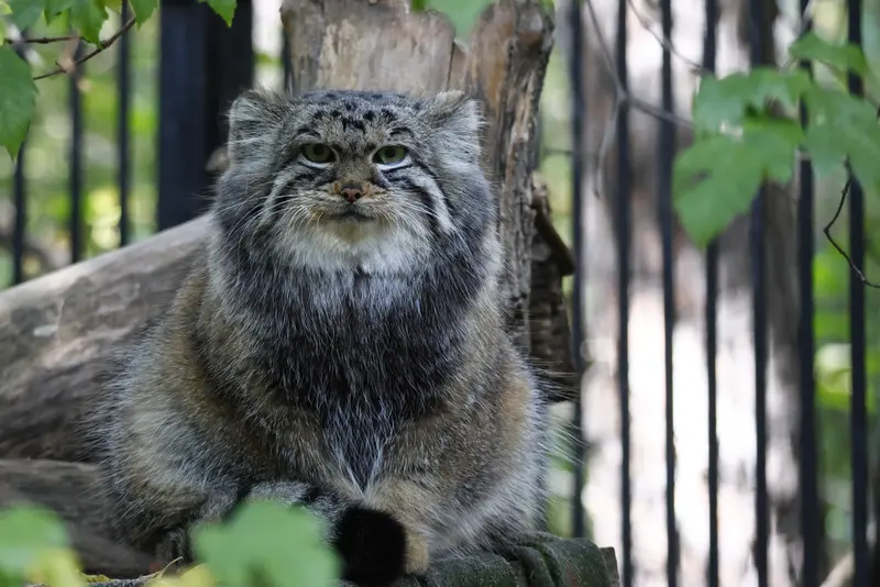 A photograph of Anya in Novosibirsk Zoo