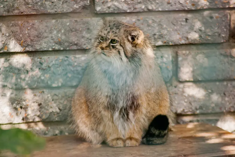 A photograph of Manuela in Magdeburg Zoo