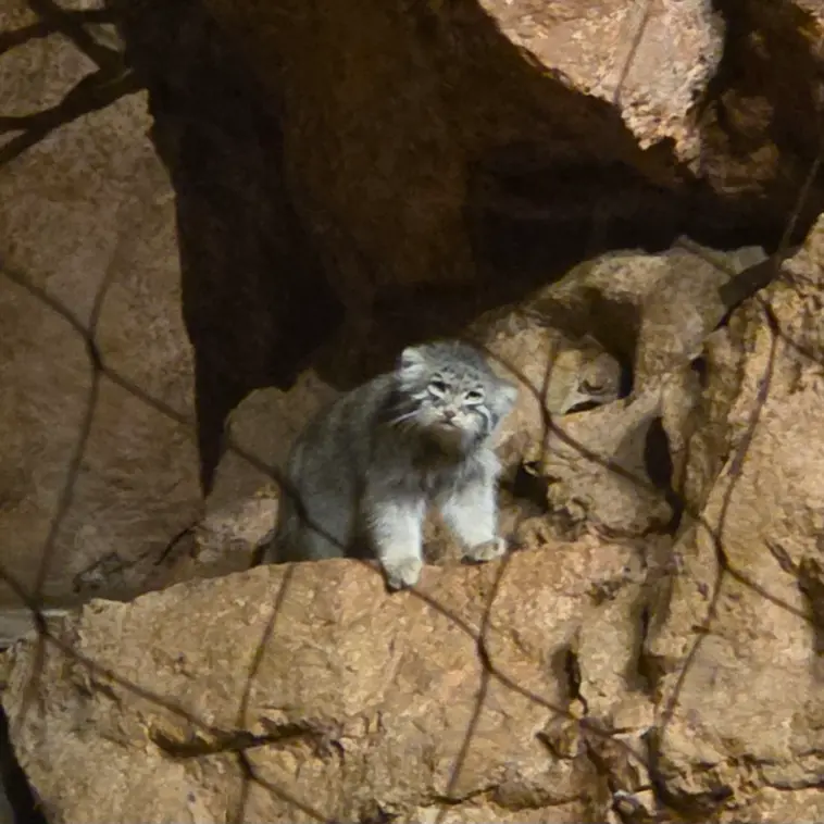 A photograph of Johan in Brookfield Zoo Chicago