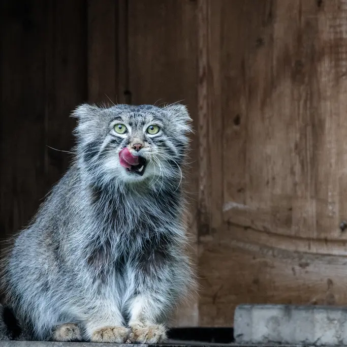 A photograph of Timofey in Moscow zoo