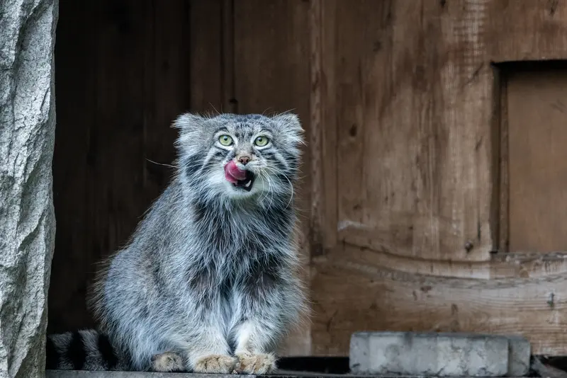 A photograph of Timofey in Moscow zoo