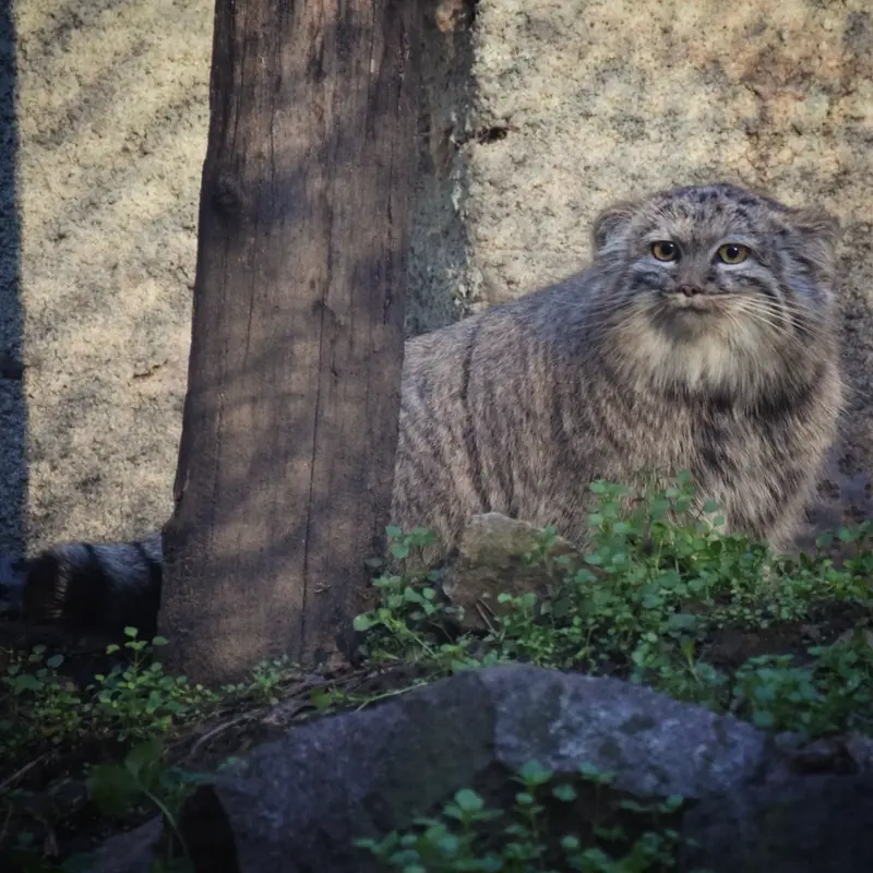 A photograph of Lucy in Budapest Zoo &amp; Botanical Garden