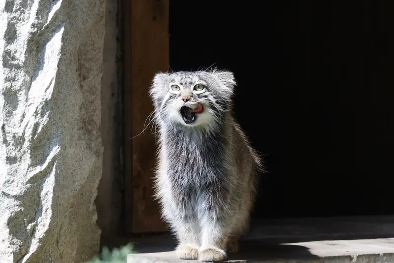 A photograph of Timofey in Moscow zoo