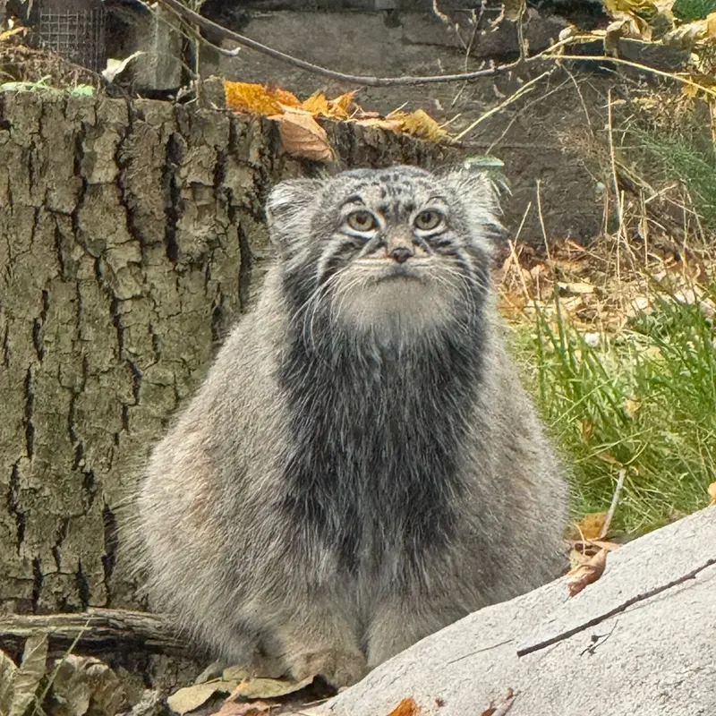 A photograph of Timofey in Moscow zoo