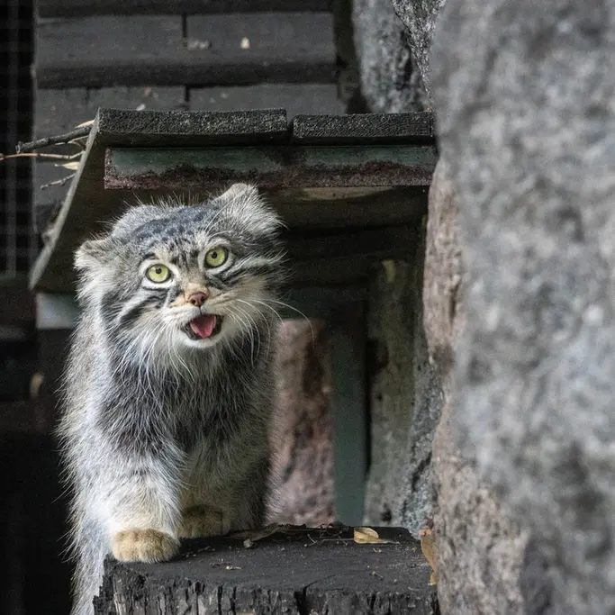 A photograph of Timofey in Moscow zoo