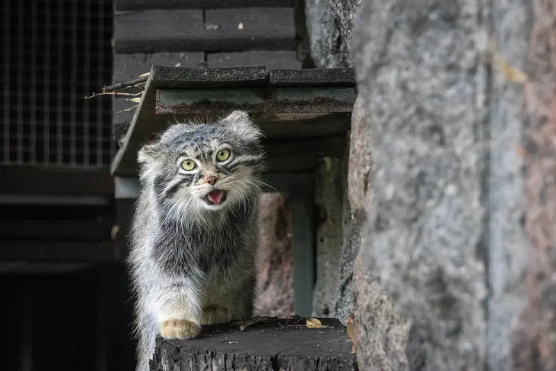 A photograph of Timofey in Moscow zoo