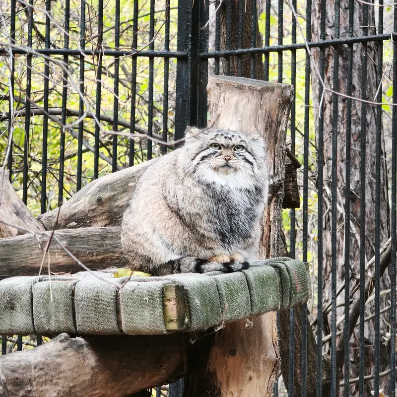 A photograph of Anya in Novosibirsk Zoo