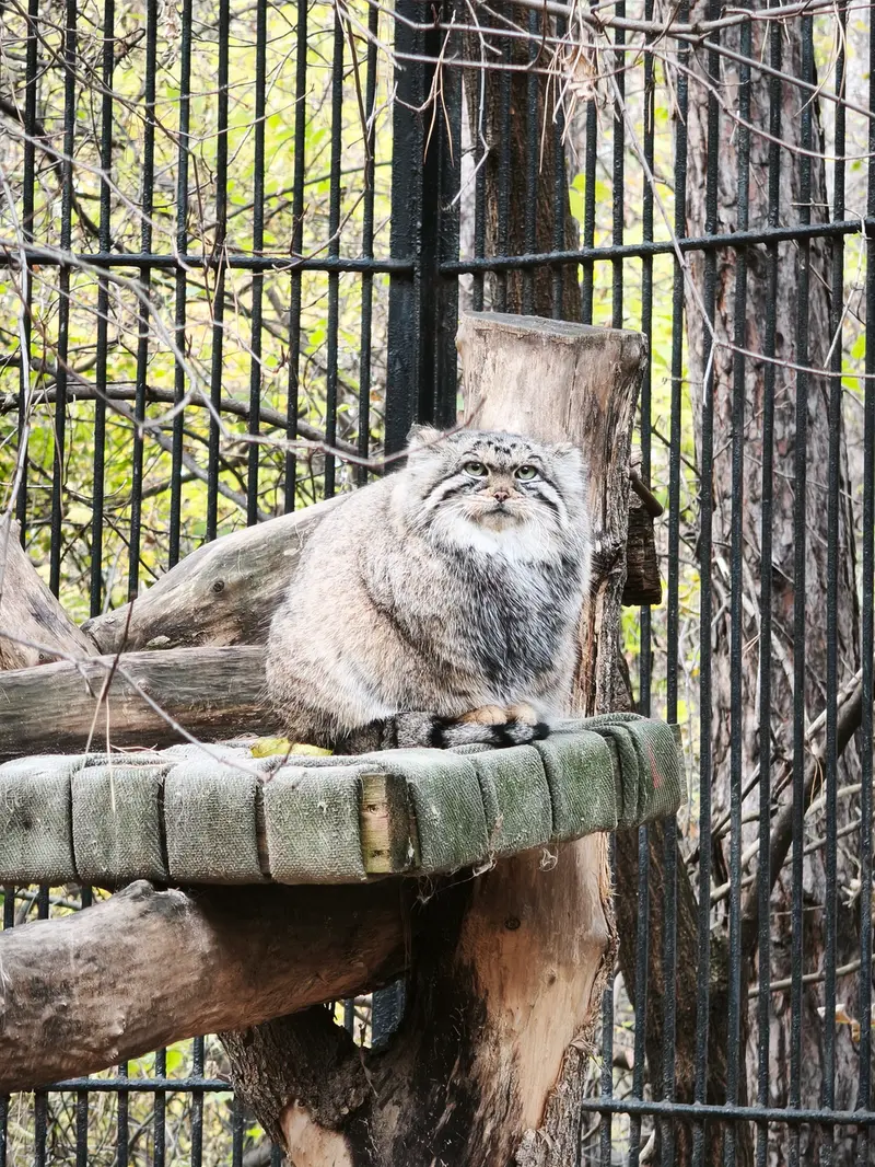 A photograph of Anya in Novosibirsk Zoo