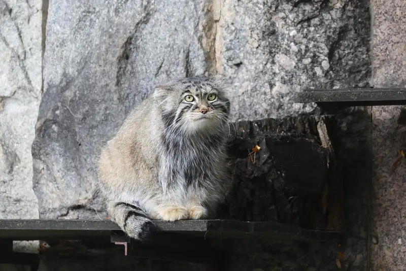 A photograph of Timofey in Moscow zoo