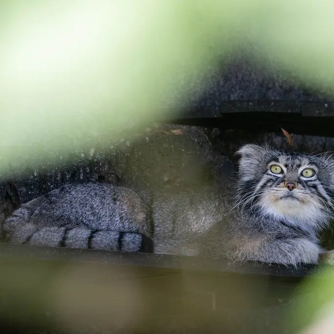 A photograph of Timofey in Moscow zoo