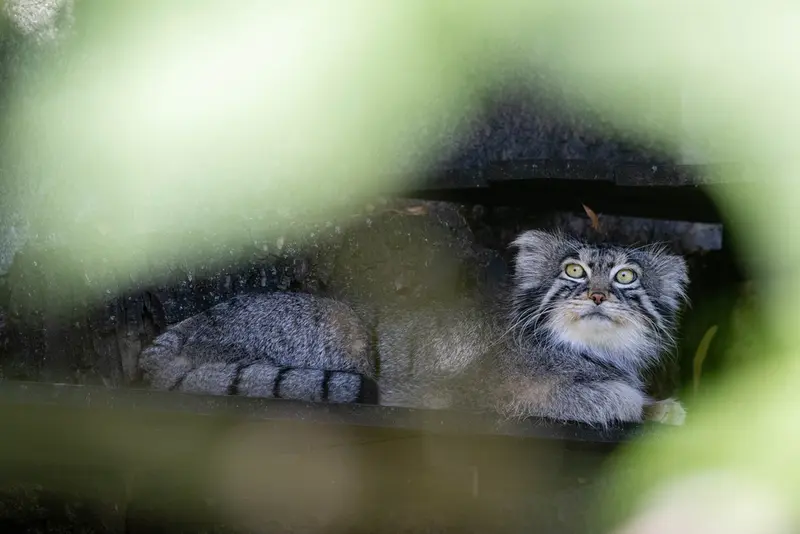 A photograph of Timofey in Moscow zoo