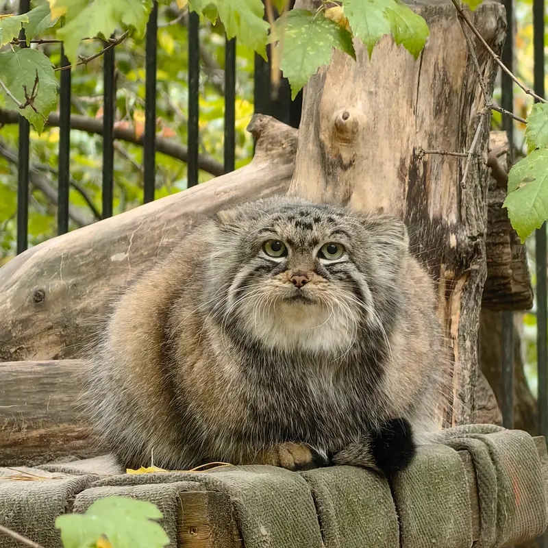 A photograph of Anya in Novosibirsk Zoo