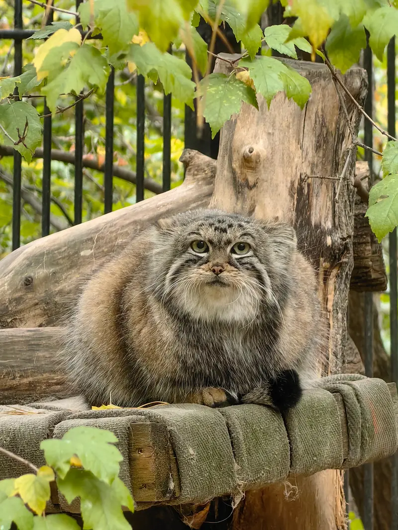 A photograph of Anya in Novosibirsk Zoo