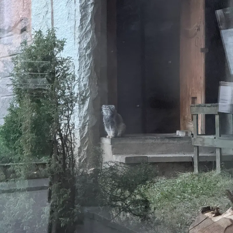A photograph of Timofey in Moscow zoo