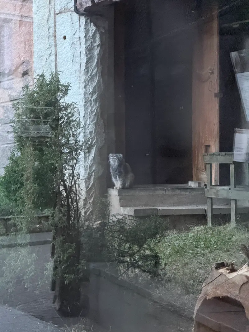 A photograph of Timofey in Moscow zoo