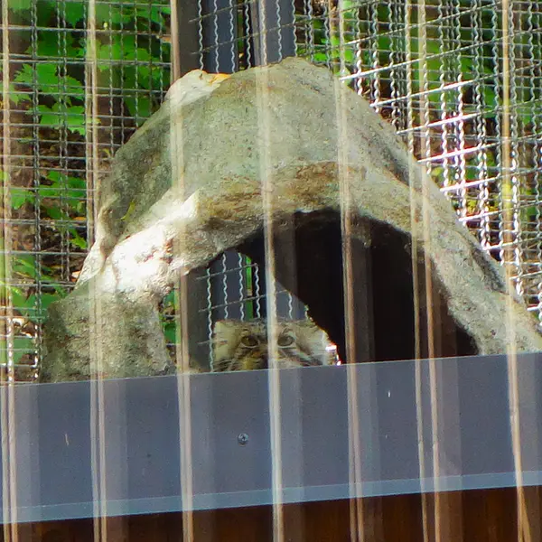 A photograph of Melissa in Lithuanian Zoo