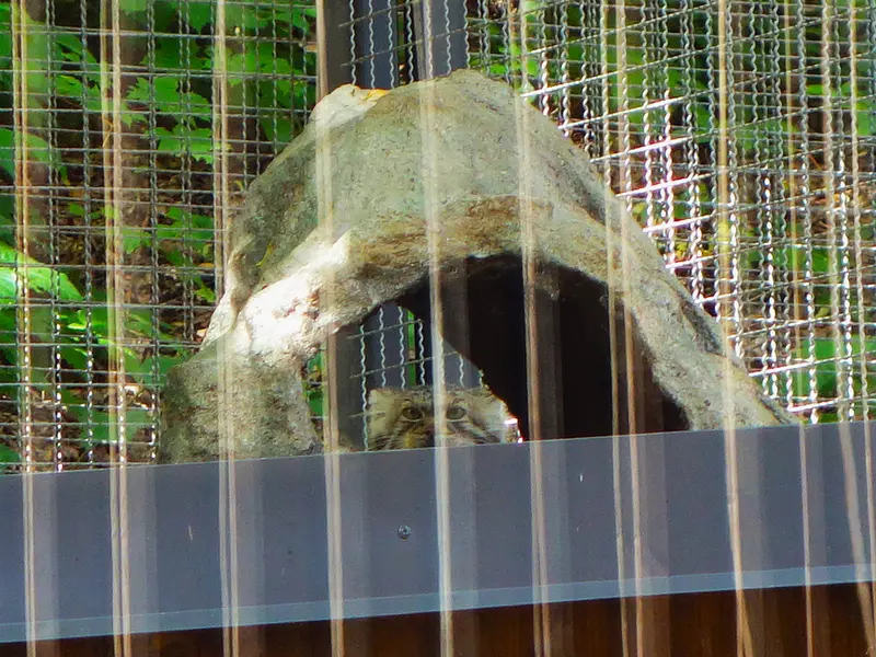 A photograph of Melissa in Lithuanian Zoo