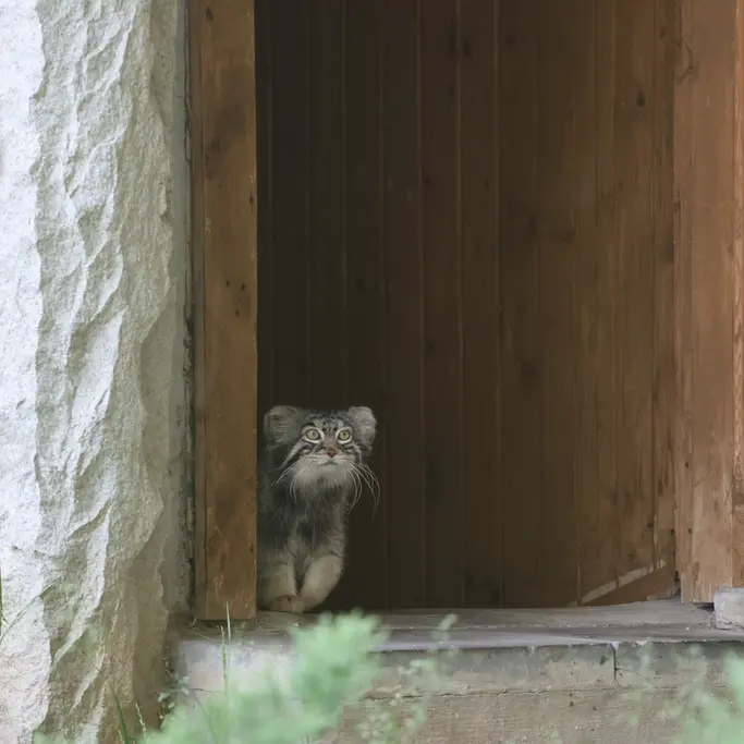 A photograph of Timofey in Moscow zoo