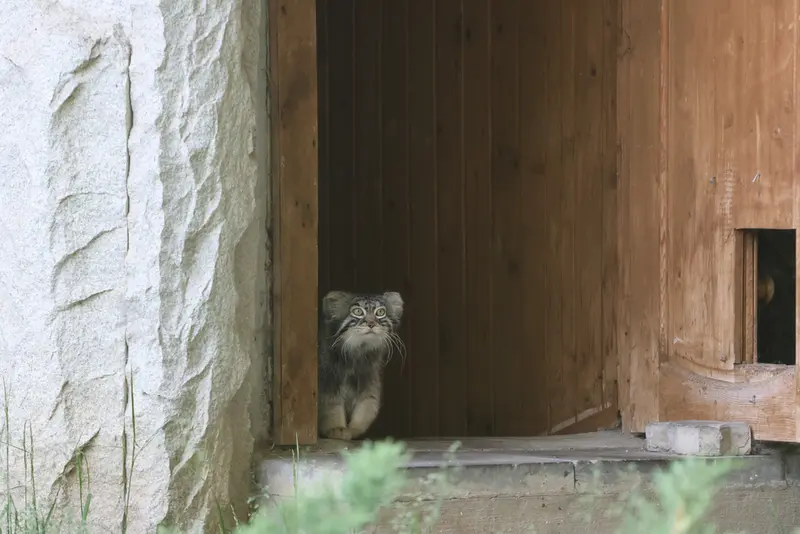 A photograph of Timofey in Moscow zoo