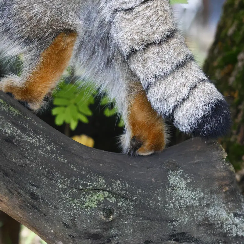A photograph of Timofey in Moscow zoo