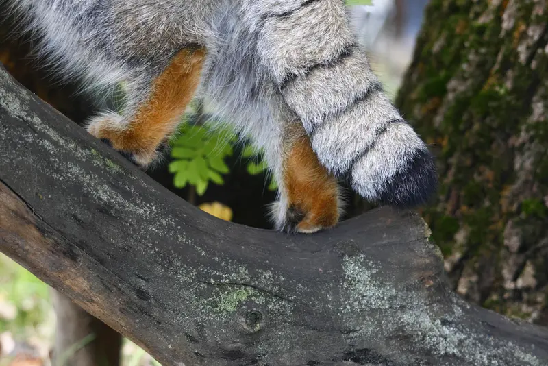 A photograph of Timofey in Moscow zoo