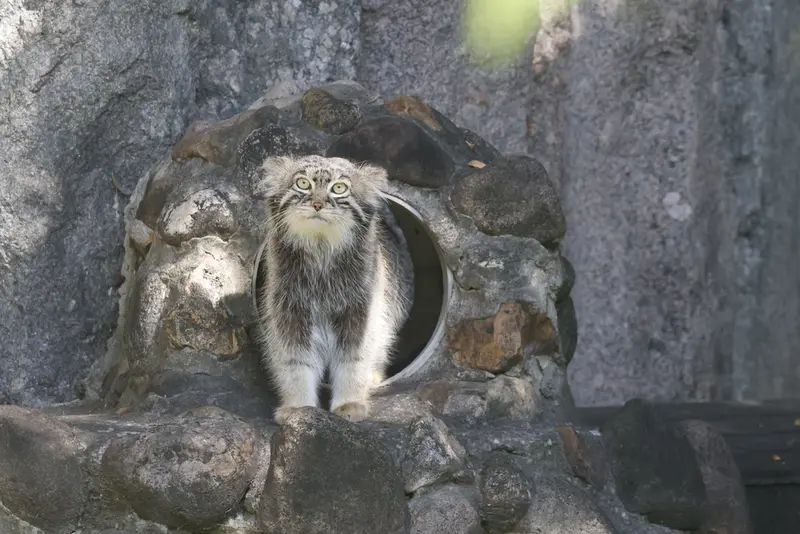 A photograph of Timofey in Moscow zoo