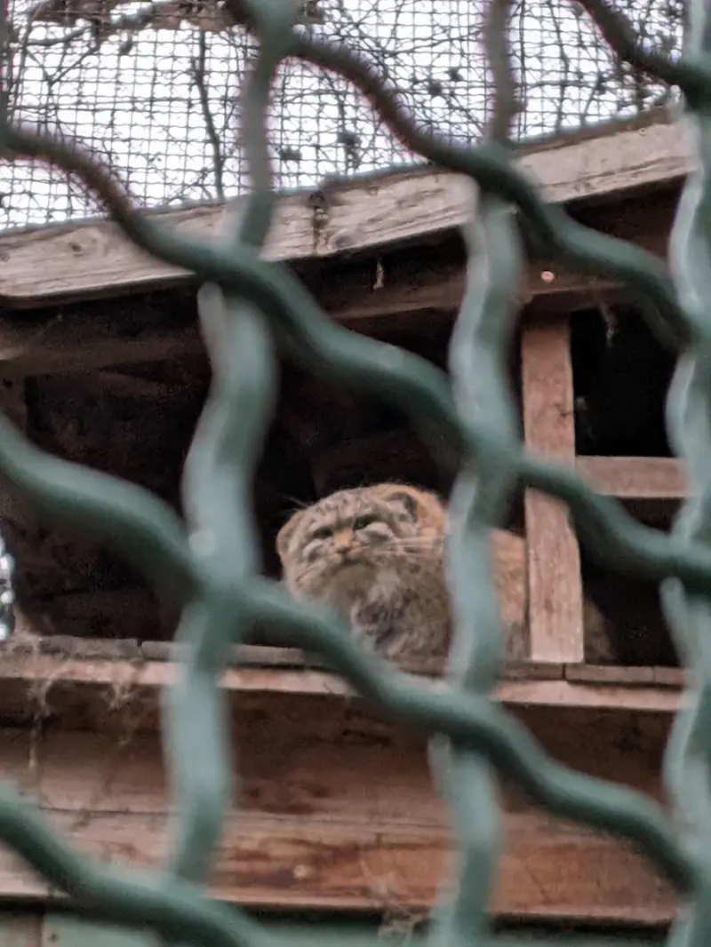 A photograph of Lucy in Budapest Zoo &amp; Botanical Garden