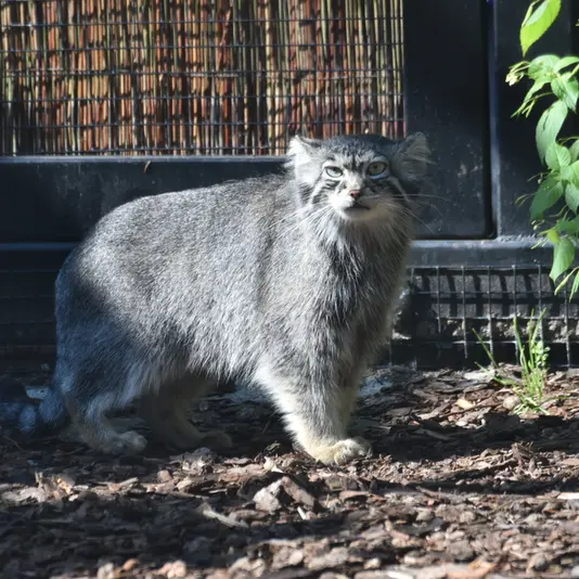 A photograph of Ula in Gdansk Zoo