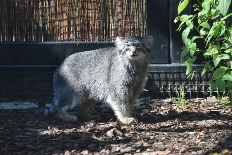 A photograph of Ula in Gdansk Zoo