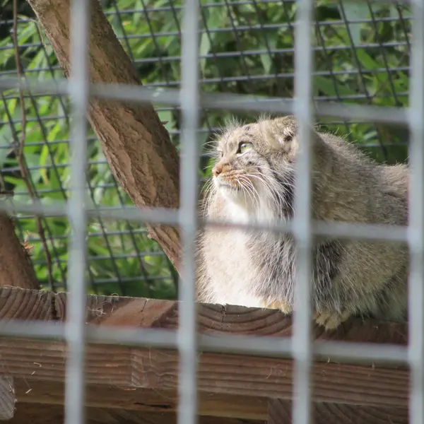 A photograph of Karl-Heinz in Saarbrücken Zoo