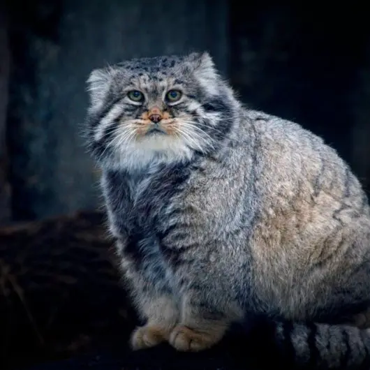 A photograph of Vadim in Moscow zoo