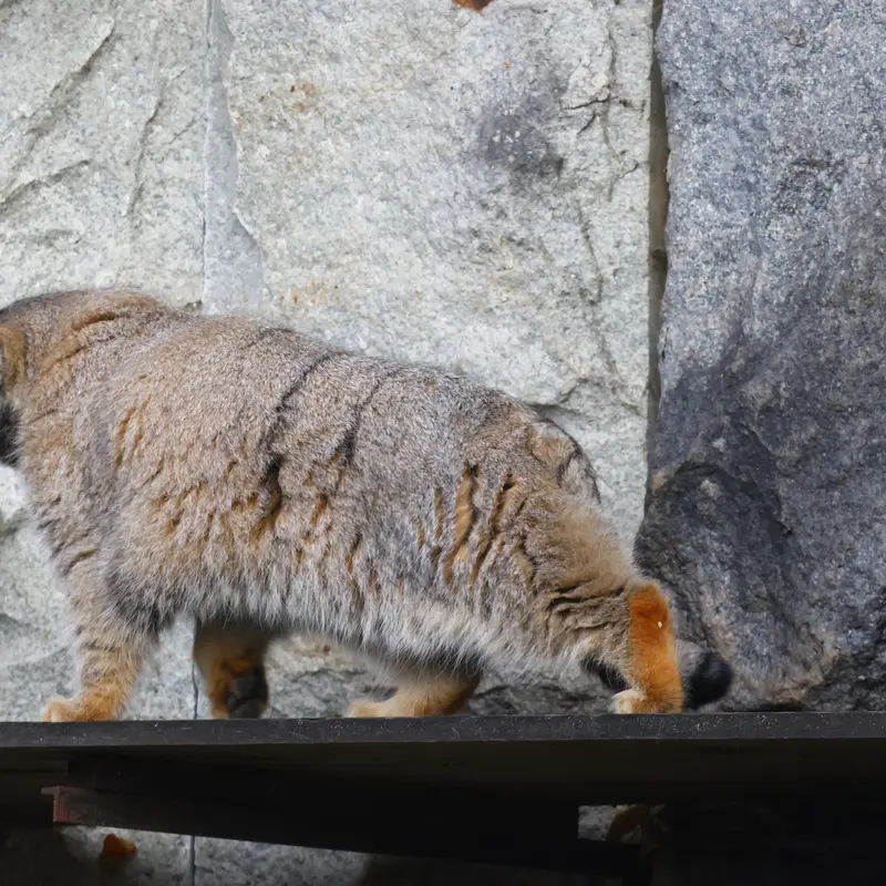 A photograph of Timofey in Moscow zoo