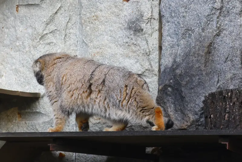A photograph of Timofey in Moscow zoo