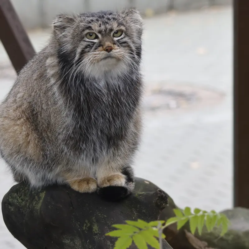 A photograph of Timofey in Moscow zoo