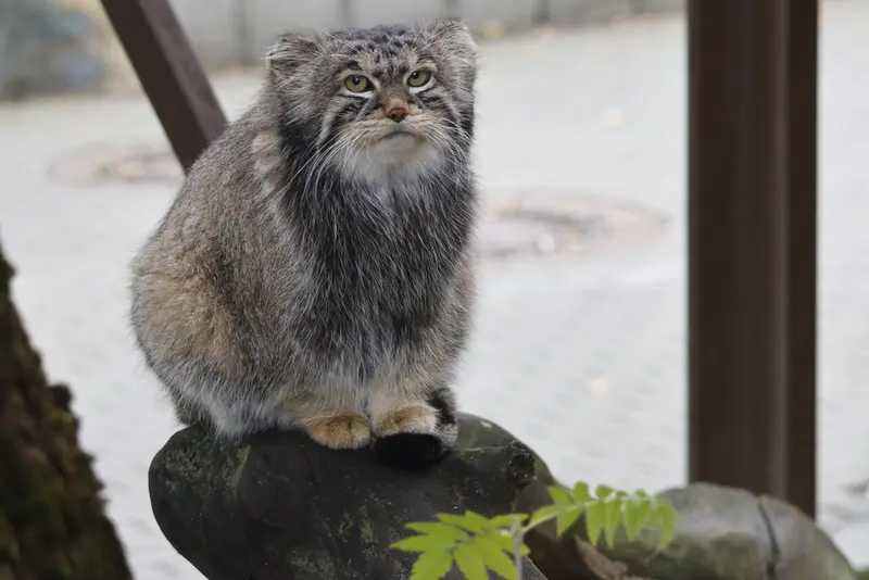A photograph of Timofey in Moscow zoo
