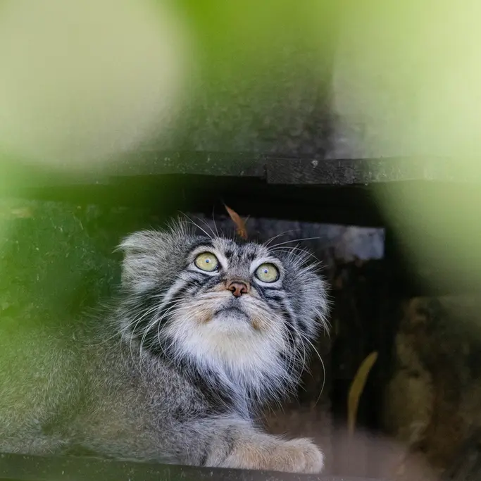 A photograph of Timofey in Moscow zoo