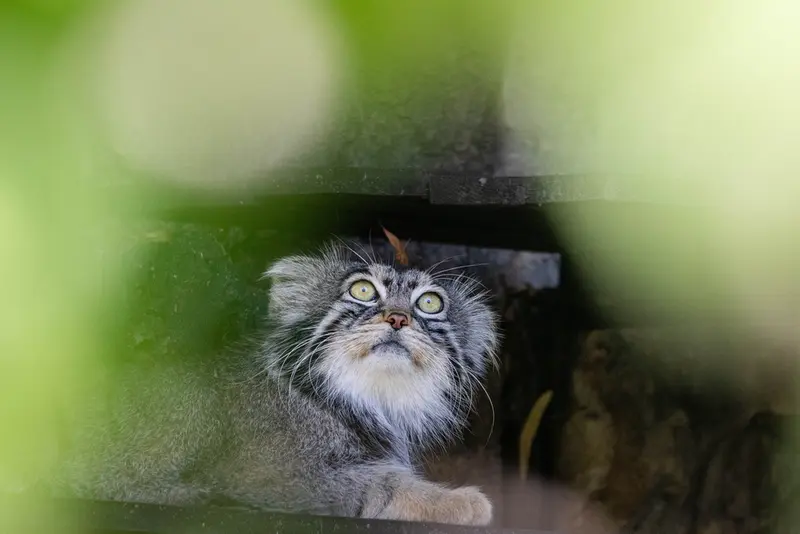 A photograph of Timofey in Moscow zoo