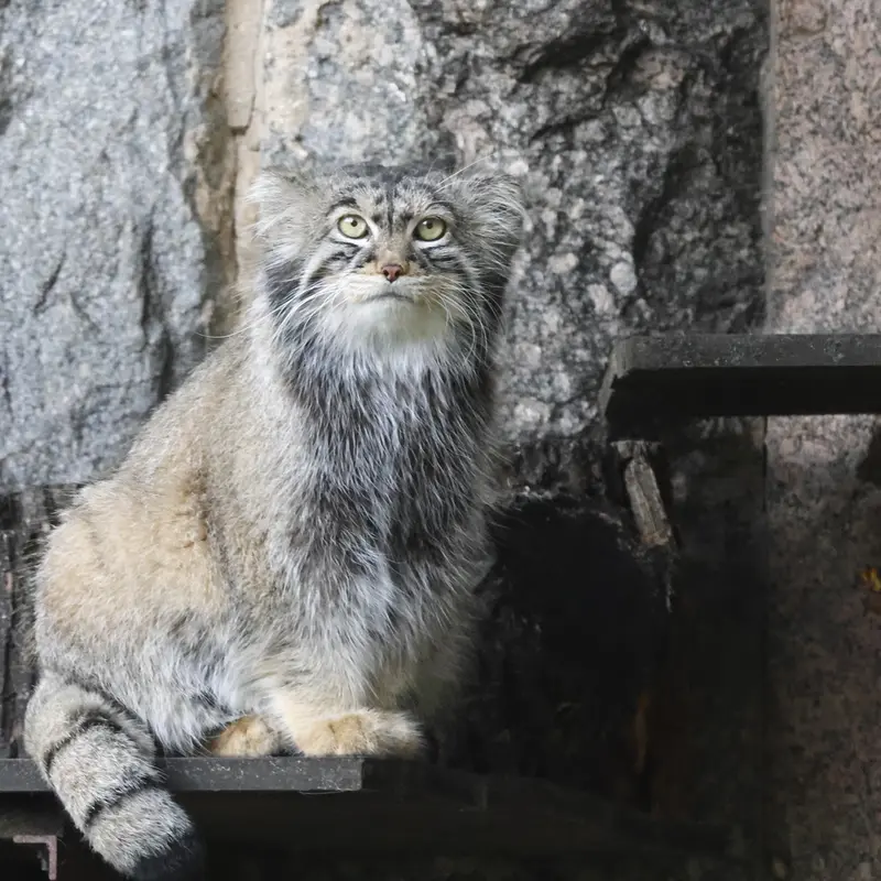 A photograph of Timofey in Moscow zoo