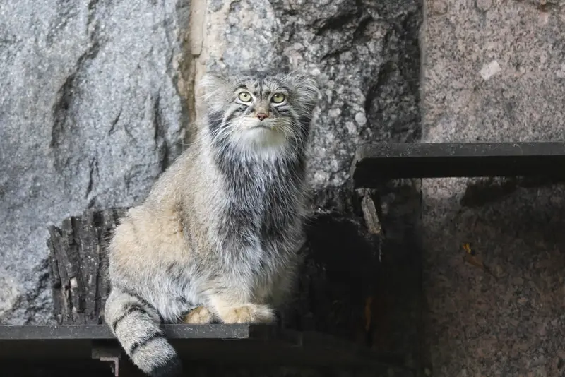 A photograph of Timofey in Moscow zoo