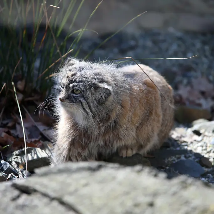 A photograph of Moira in Ostrava Zoo